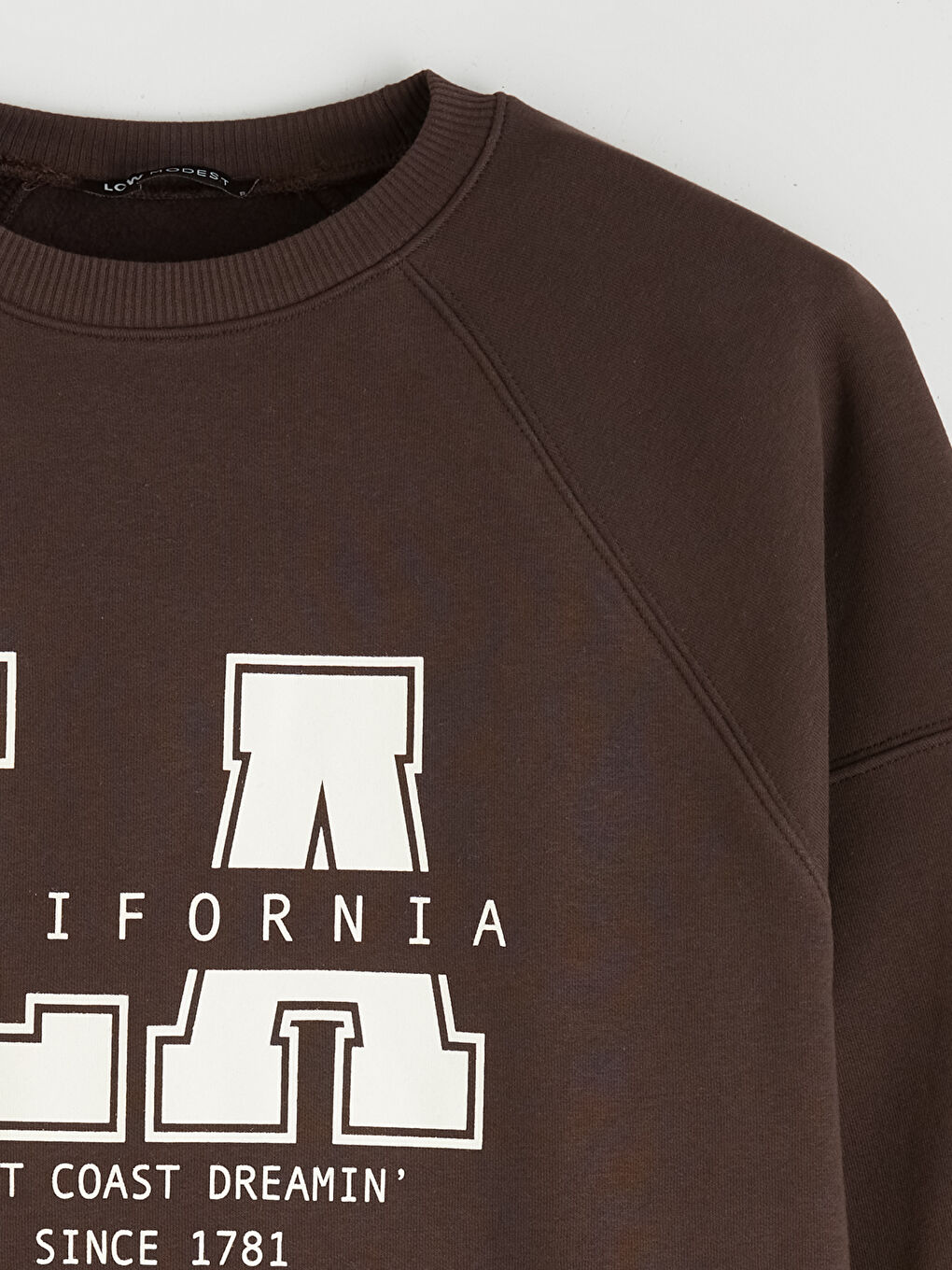 Printed Oversize Women's Thick Sweatshirt Tunic-6