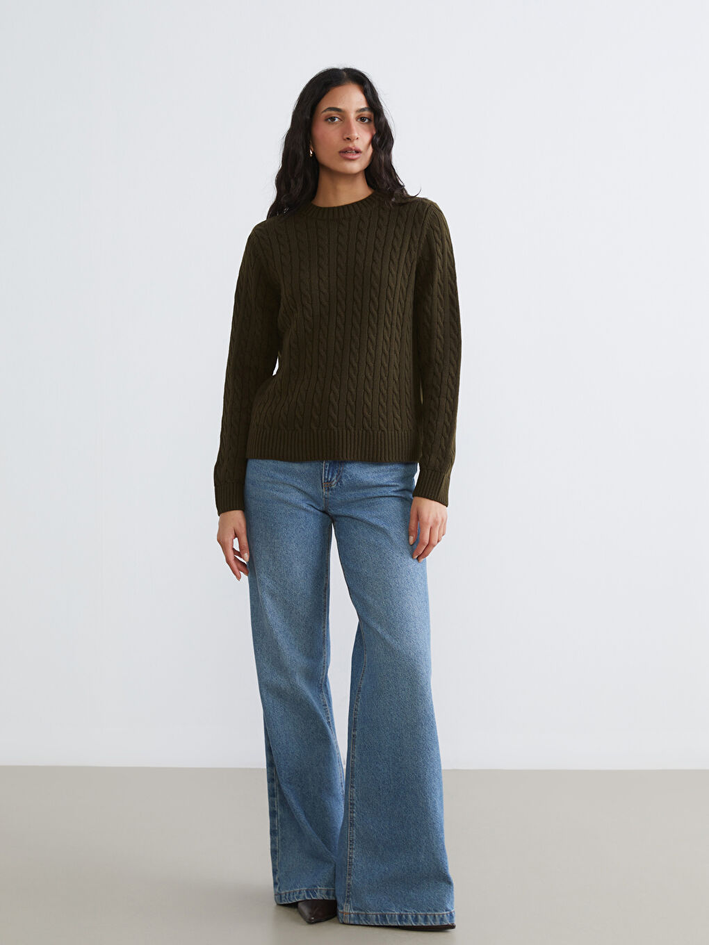 Crew Neck Self-Patterned Women's Knitwear Sweater-1