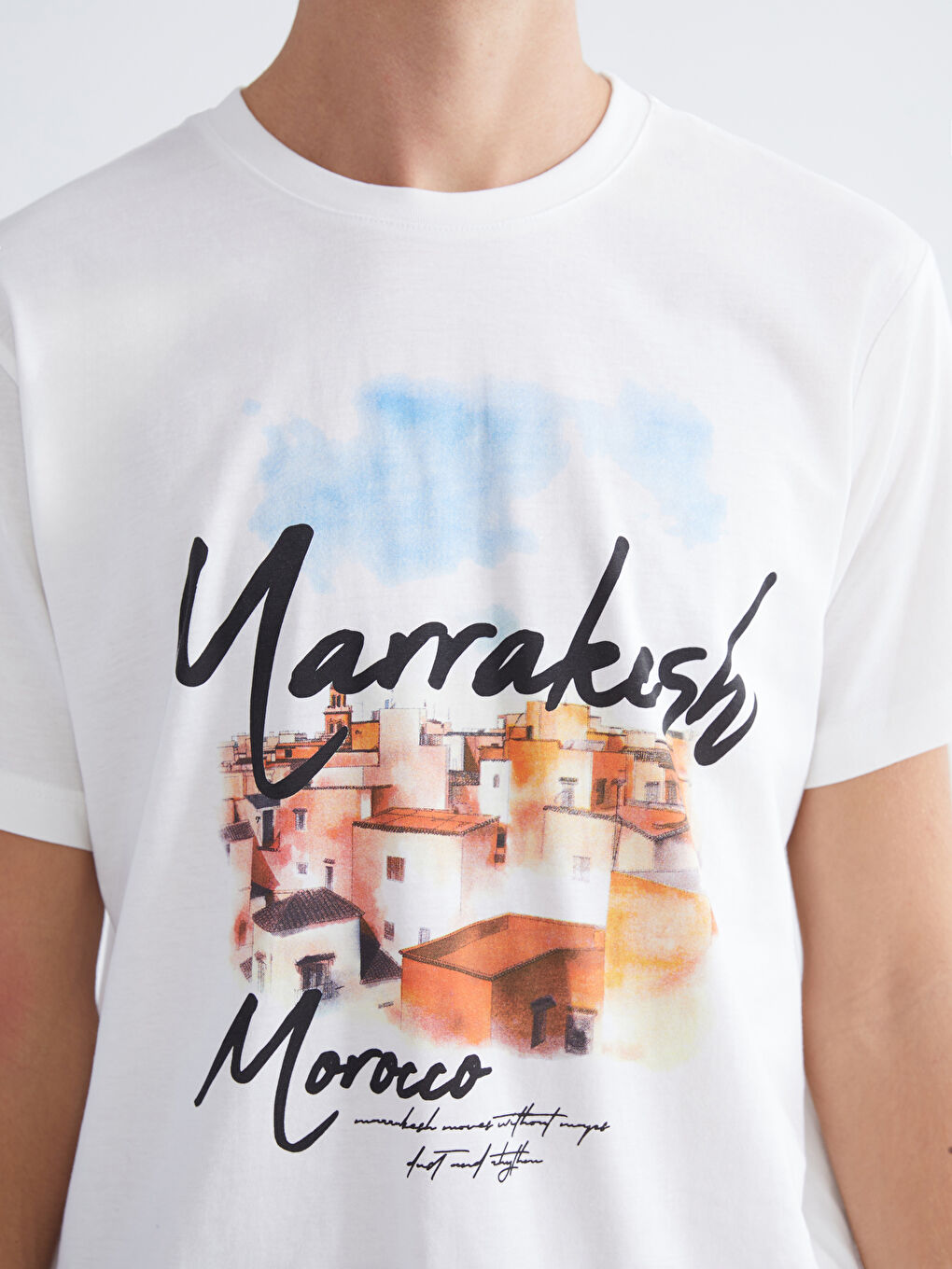 Crew Neck Printed Jersey Men's T-Shirt-2