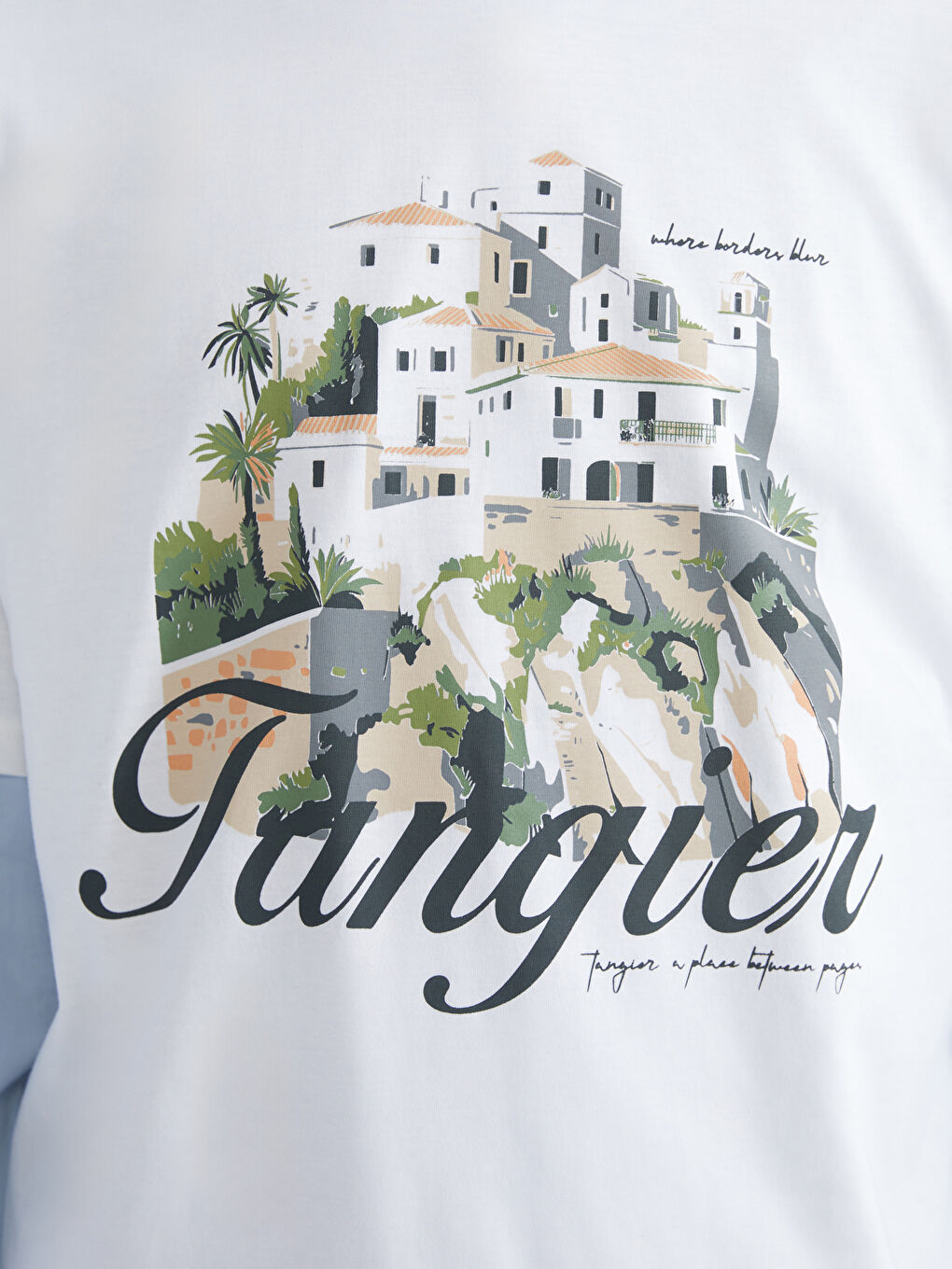 Crew Neck Printed Men's T-Shirt-2