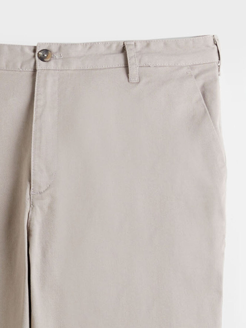 Bej Büyük Beden Standart Kalıp Erkek Chino Pantolon-4