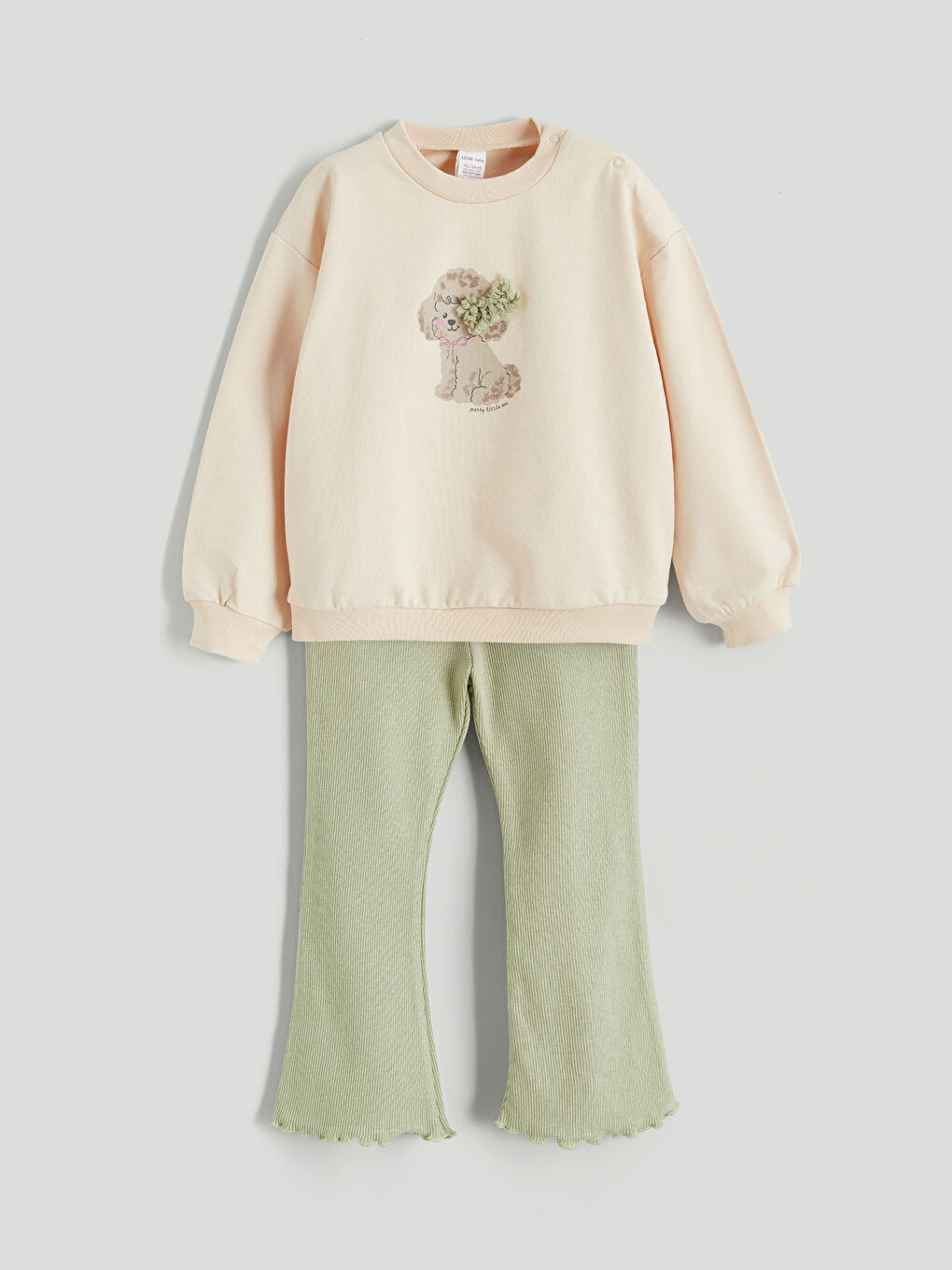 Crew Neck Printed Baby Girls Sweatshirt and Tights 2 Pack