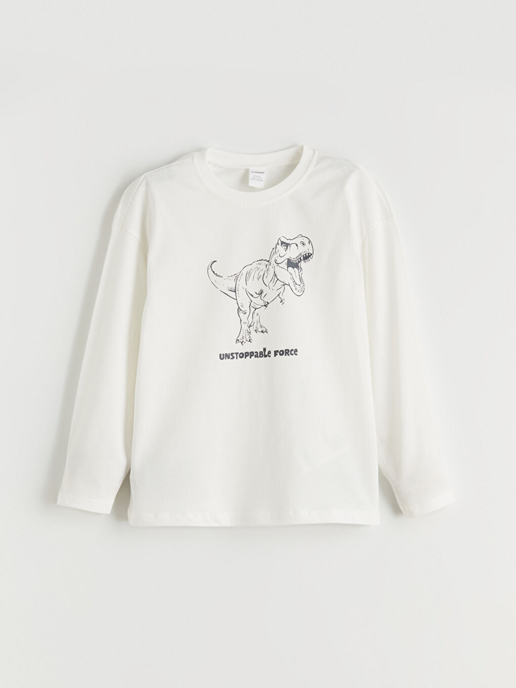 Ekru Dinozor Baskılı Erkek Çocuk Sweatshirt