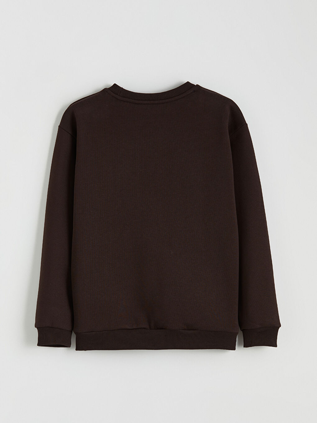 Kahverengi Bisiklet Yaka Ayı Teddy Baskılı Erkek Çocuk Kalın Sweatshirt-2