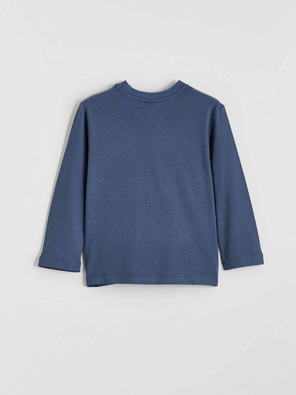 İndigo Dinozor Baskılı Erkek Çocuk Tişört-2