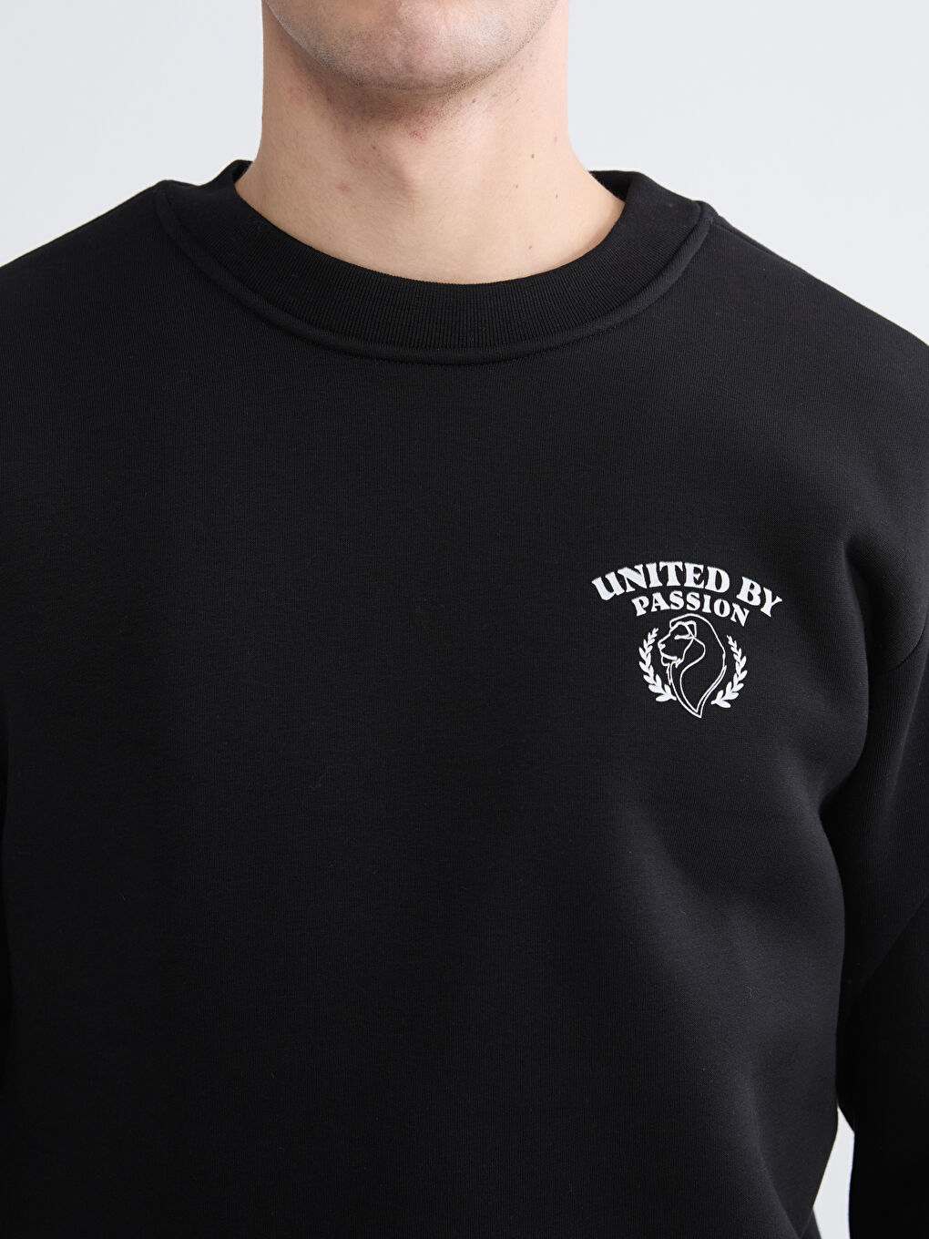 Crew Neck Printed Men's Thick Sweatshirt-2