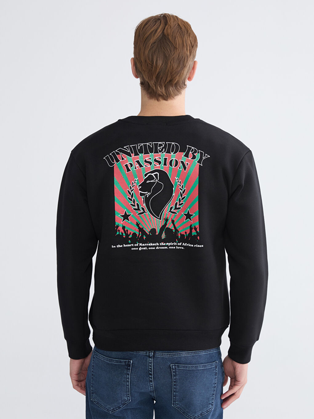 Crew Neck Printed Men's Thick Sweatshirt-3