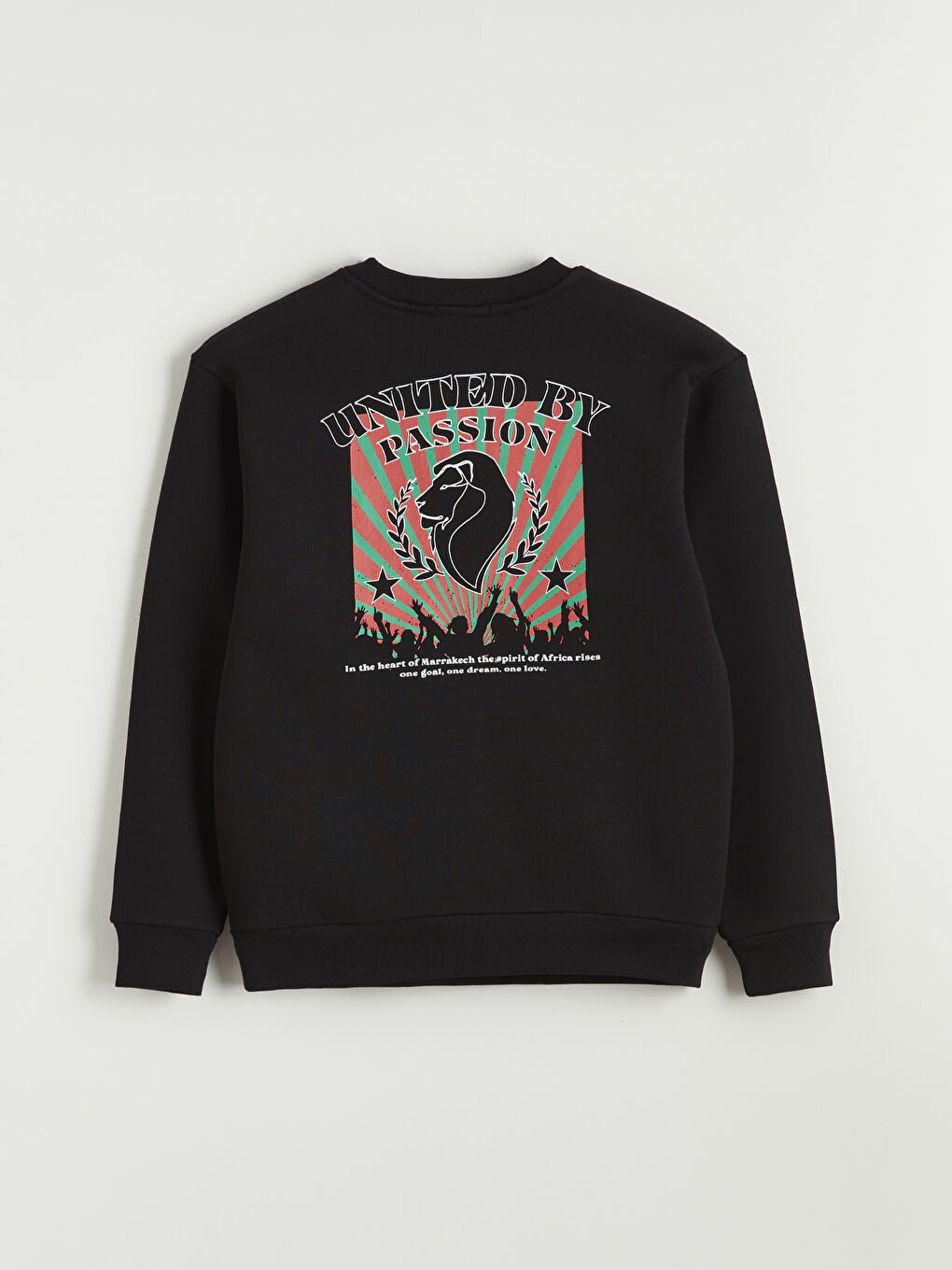 Crew Neck Printed Men's Thick Sweatshirt-5