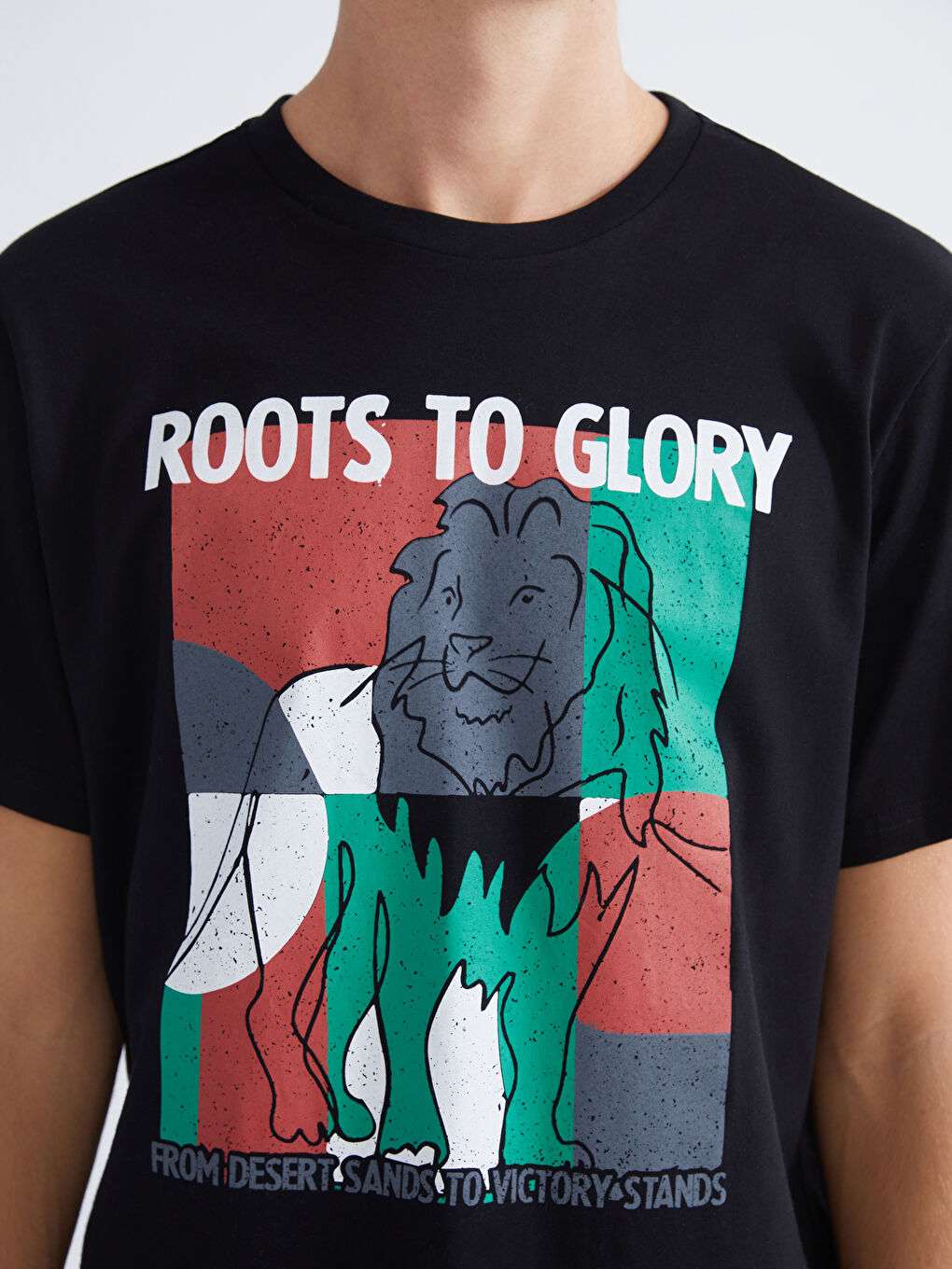 Crew Neck Printed Jersey Men's T-Shirt-2