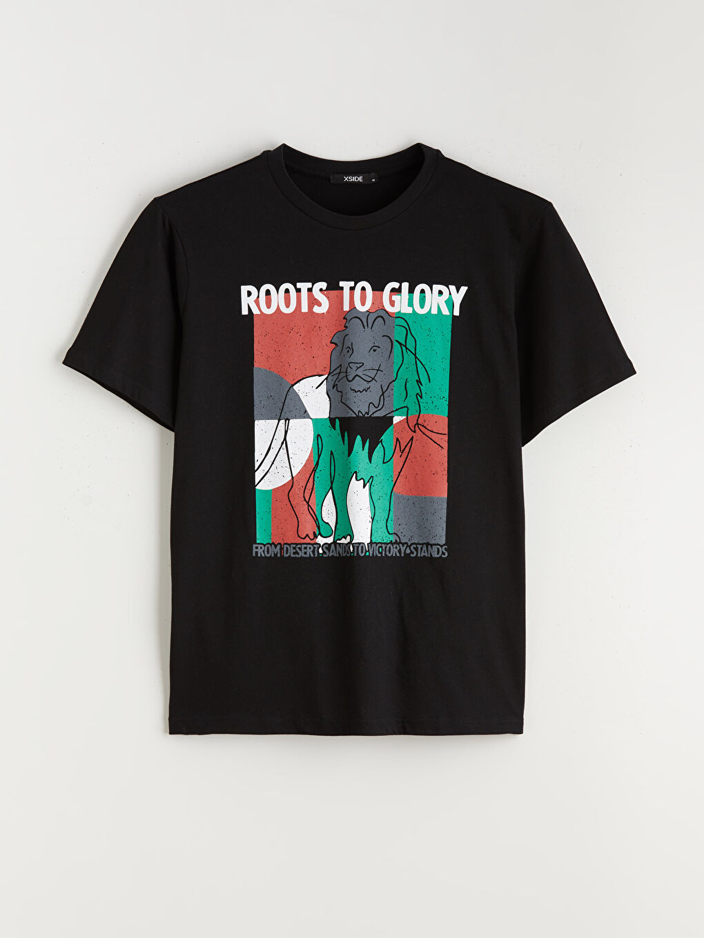 Crew Neck Printed Jersey Men's T-Shirt-4