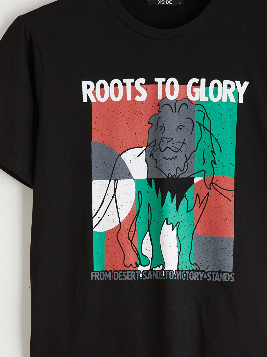 Crew Neck Printed Jersey Men's T-Shirt-5