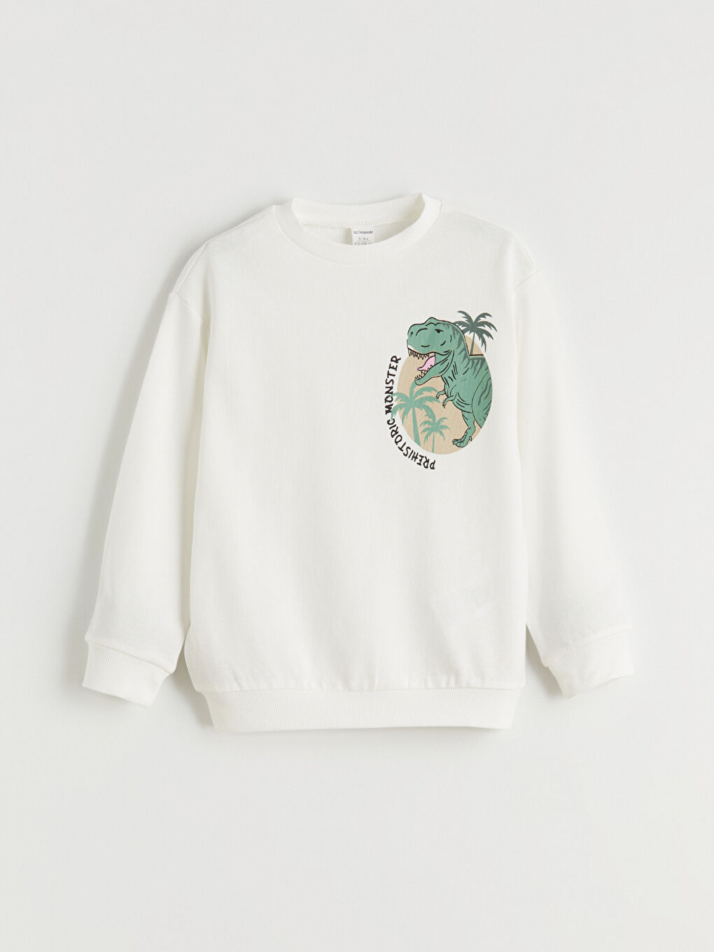 Bej Dinozor Baskılı Erkek Çocuk Sweatshirt ve Eşofman Alt-3