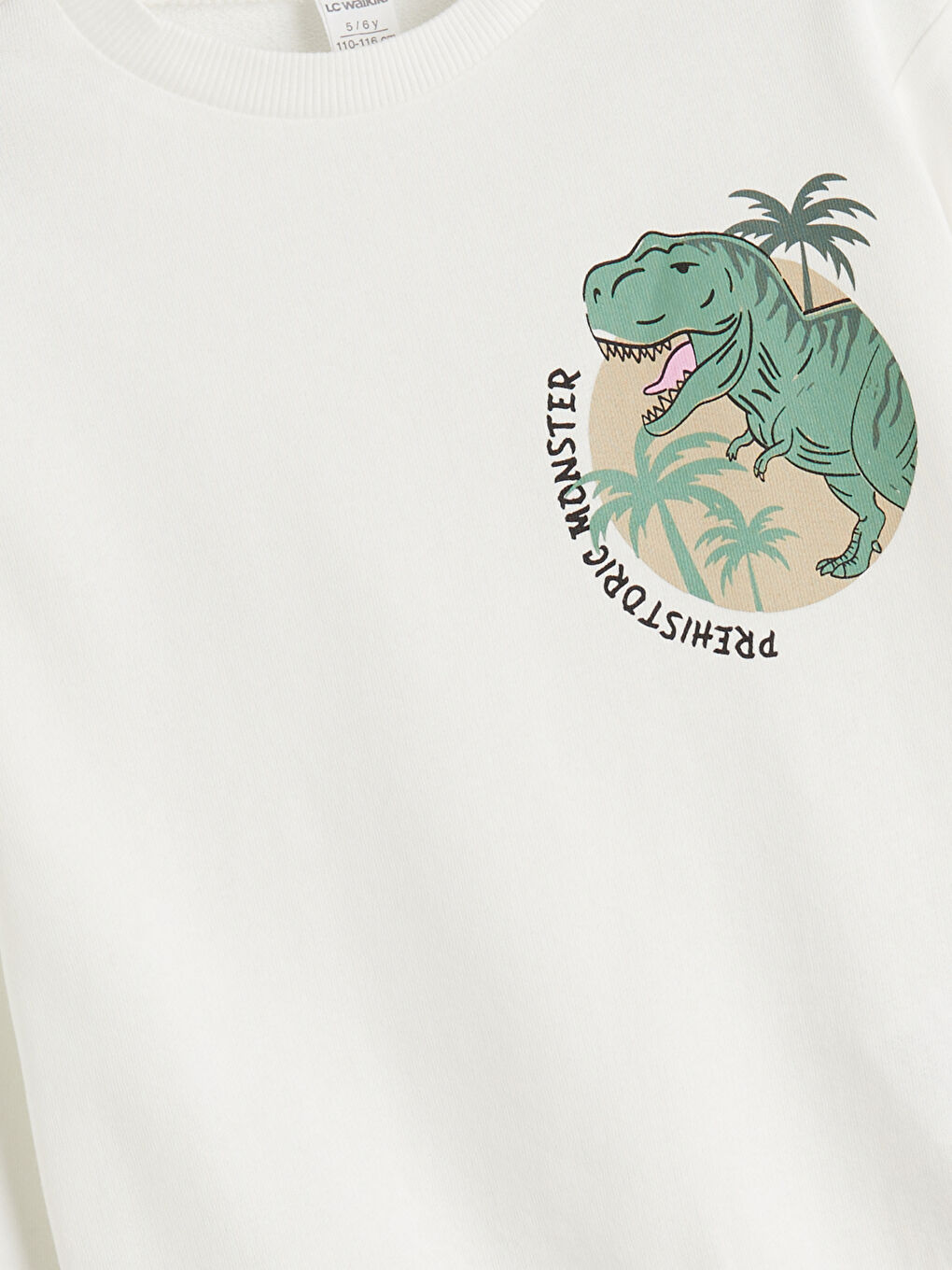 Bej Dinozor Baskılı Erkek Çocuk Sweatshirt ve Eşofman Alt-4