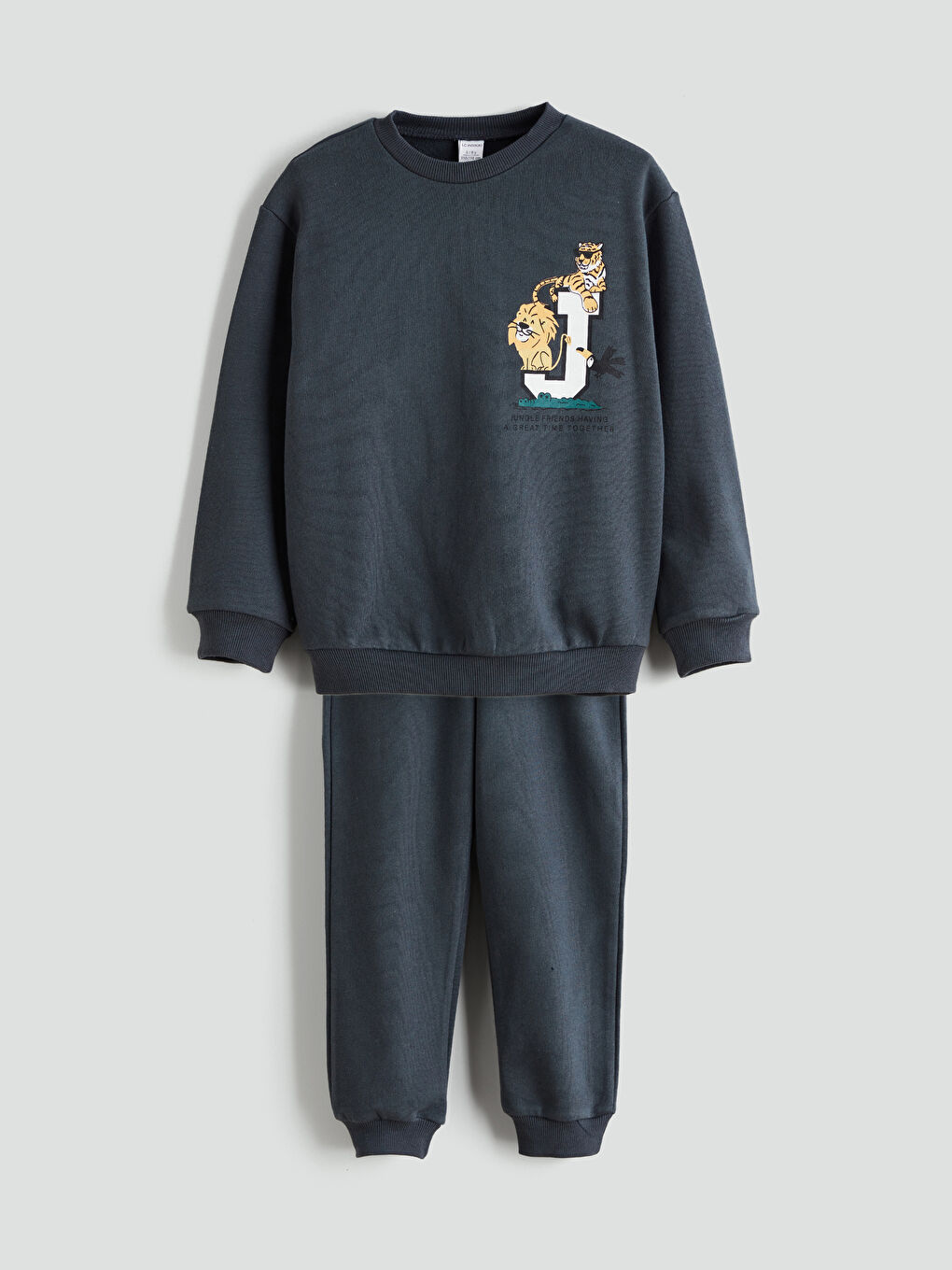 Printed Boys' Sweatshirt and Sweatpants-2