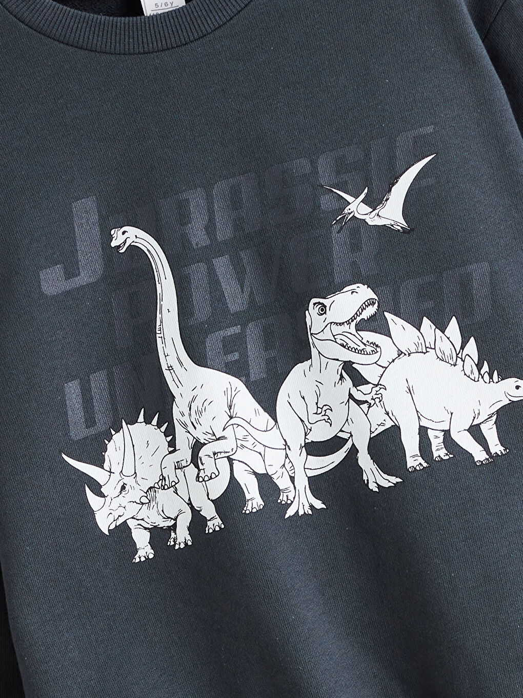 Antrasit Bisiklet Yaka Baskılı Erkek Çocuk Sweatshirt-2