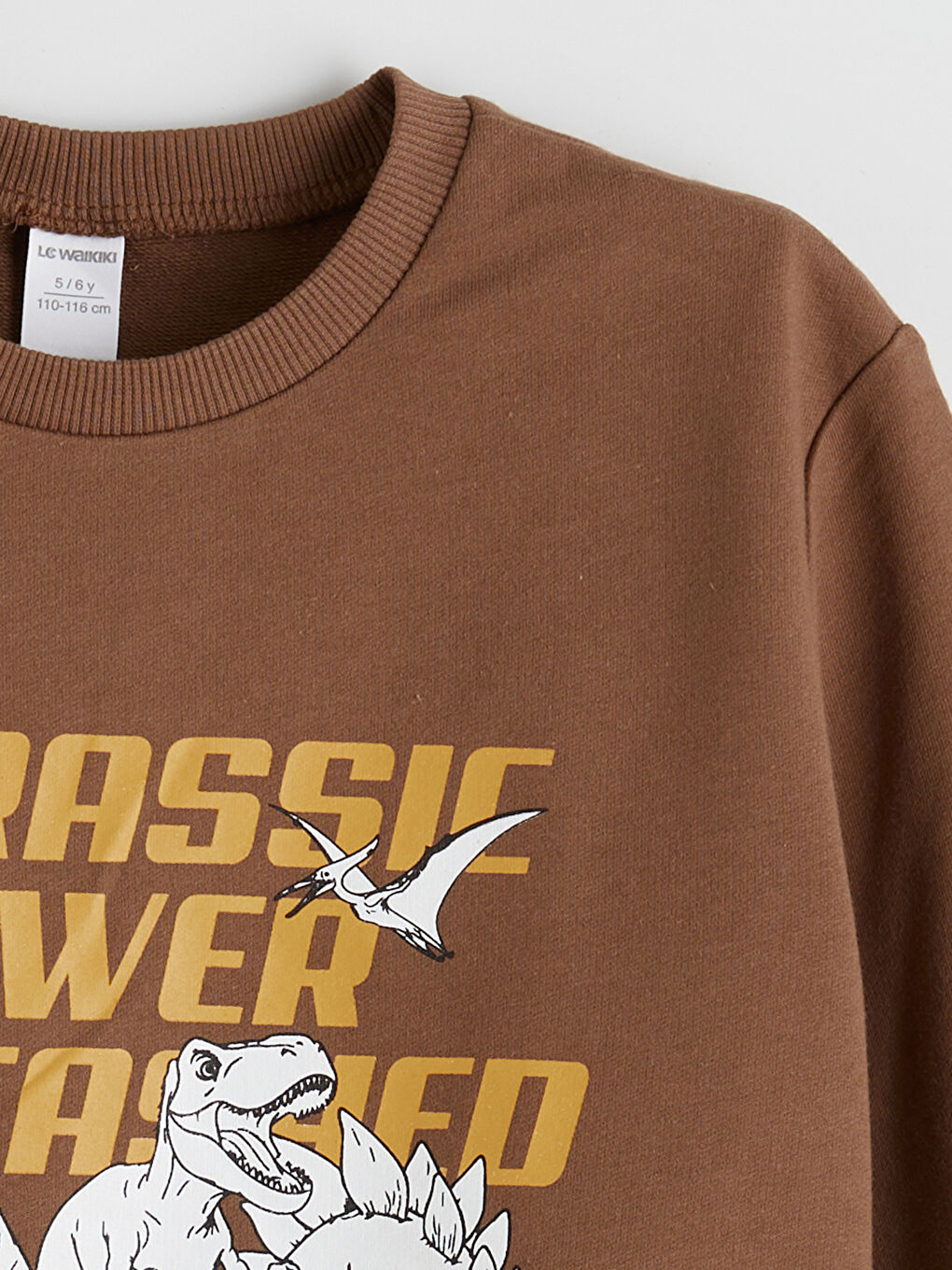 Kahverengi Dinozor Baskılı Erkek Çocuk Sweatshirt ve Eşofman Alt-4