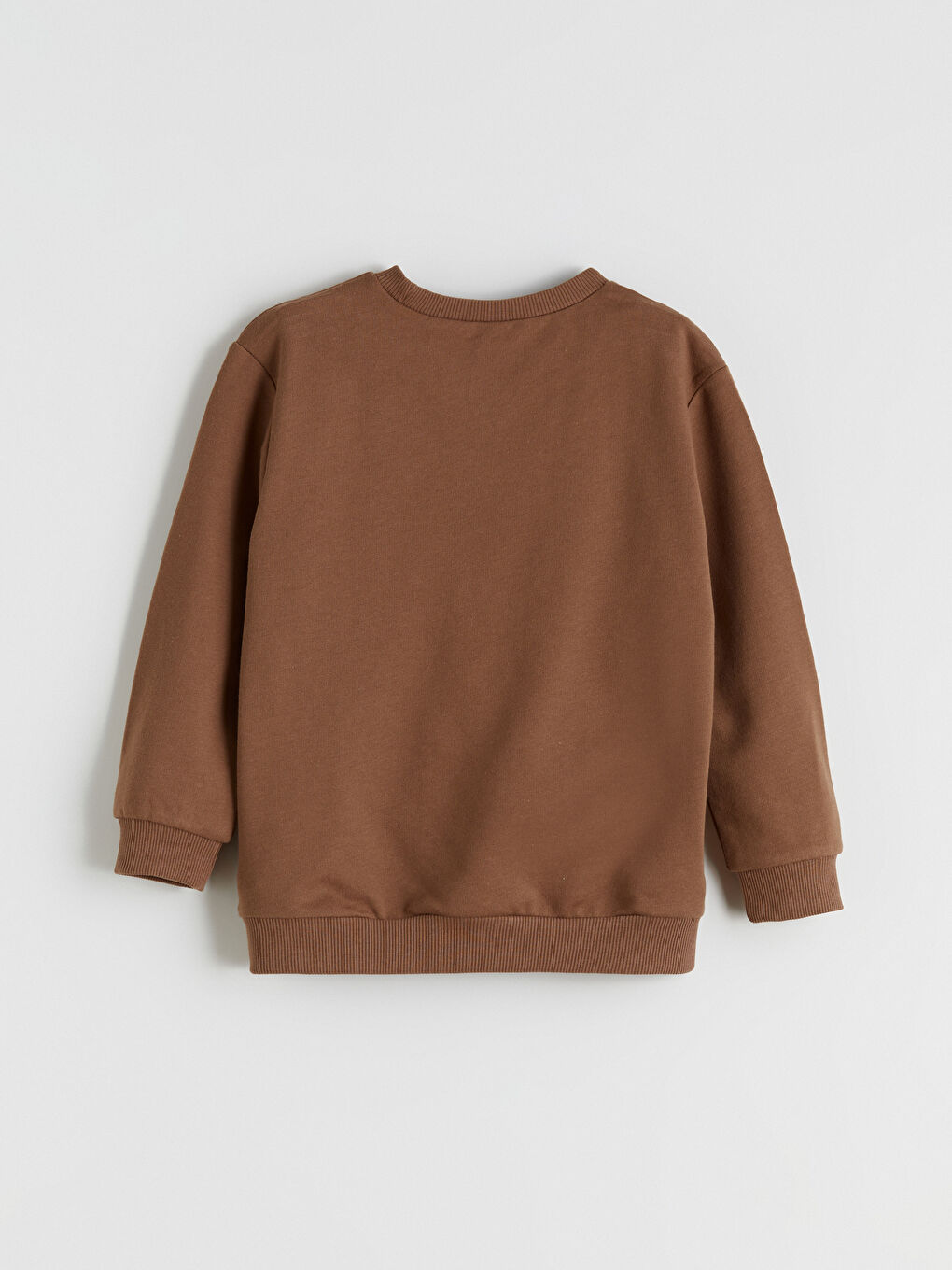 Kahverengi Dinozor Baskılı Erkek Çocuk Sweatshirt ve Eşofman Alt-5