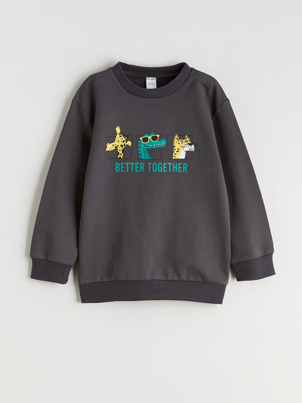 Antrasit Hayvan Baskılı Erkek Çocuk Sweatshirt