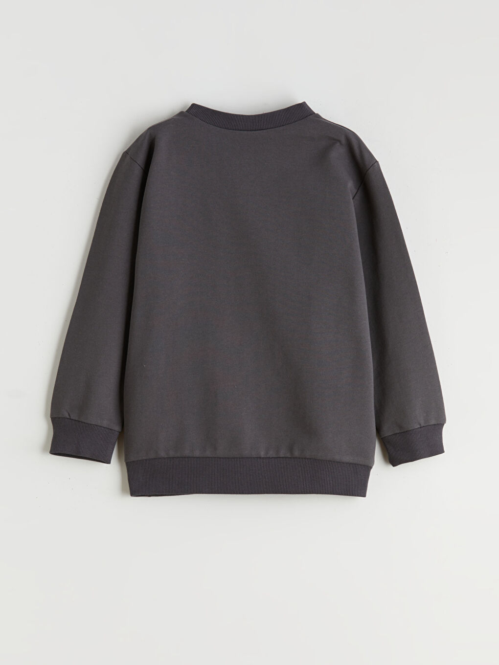 Antrasit Hayvan Baskılı Erkek Çocuk Sweatshirt-1