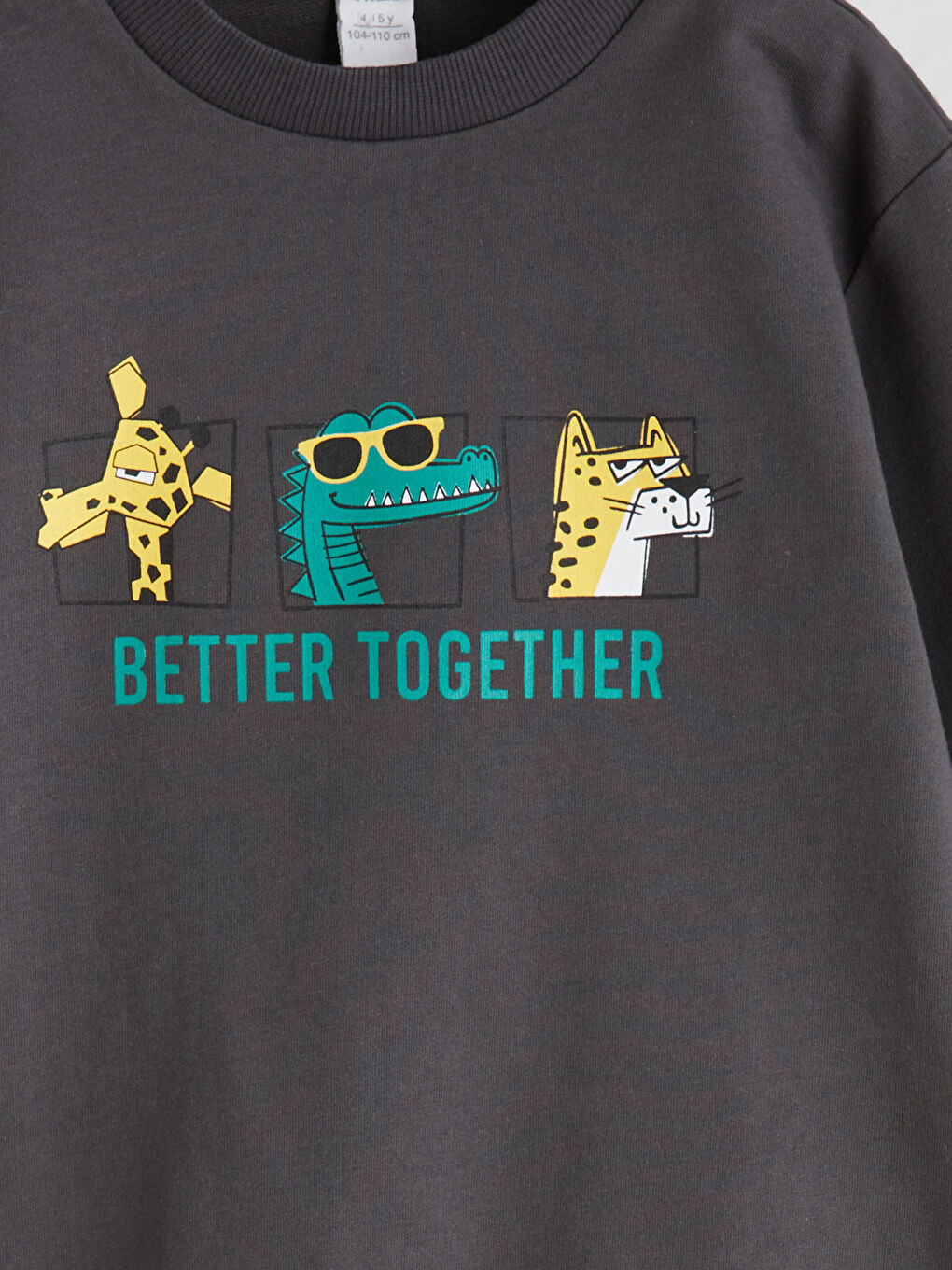 Antrasit Hayvan Baskılı Erkek Çocuk Sweatshirt-2