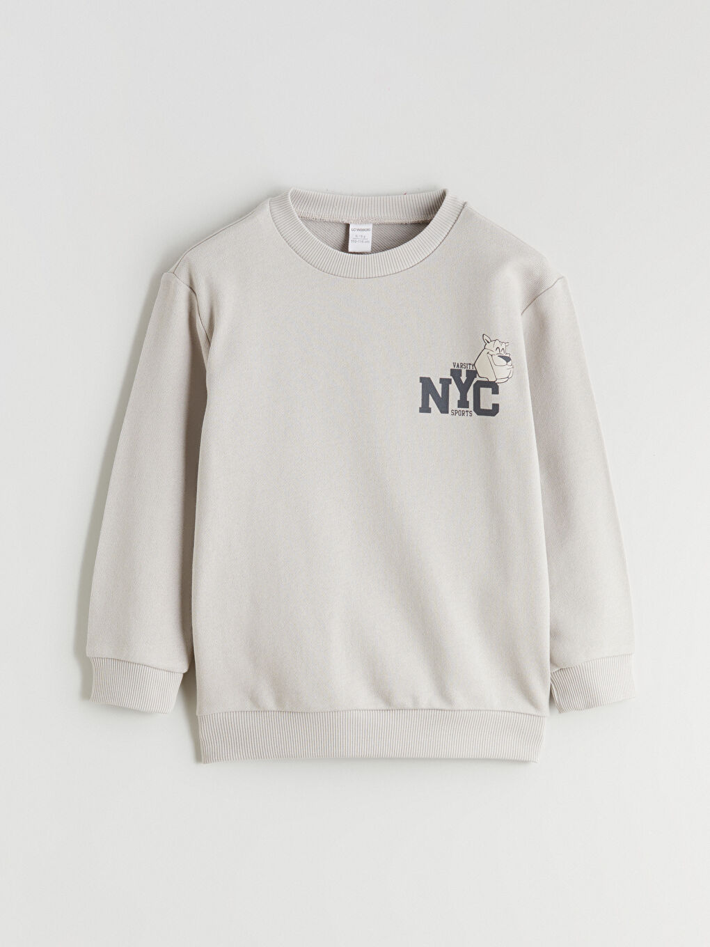 Gri Bisiklet Yaka Erkek Çocuk Sweatshirt-4