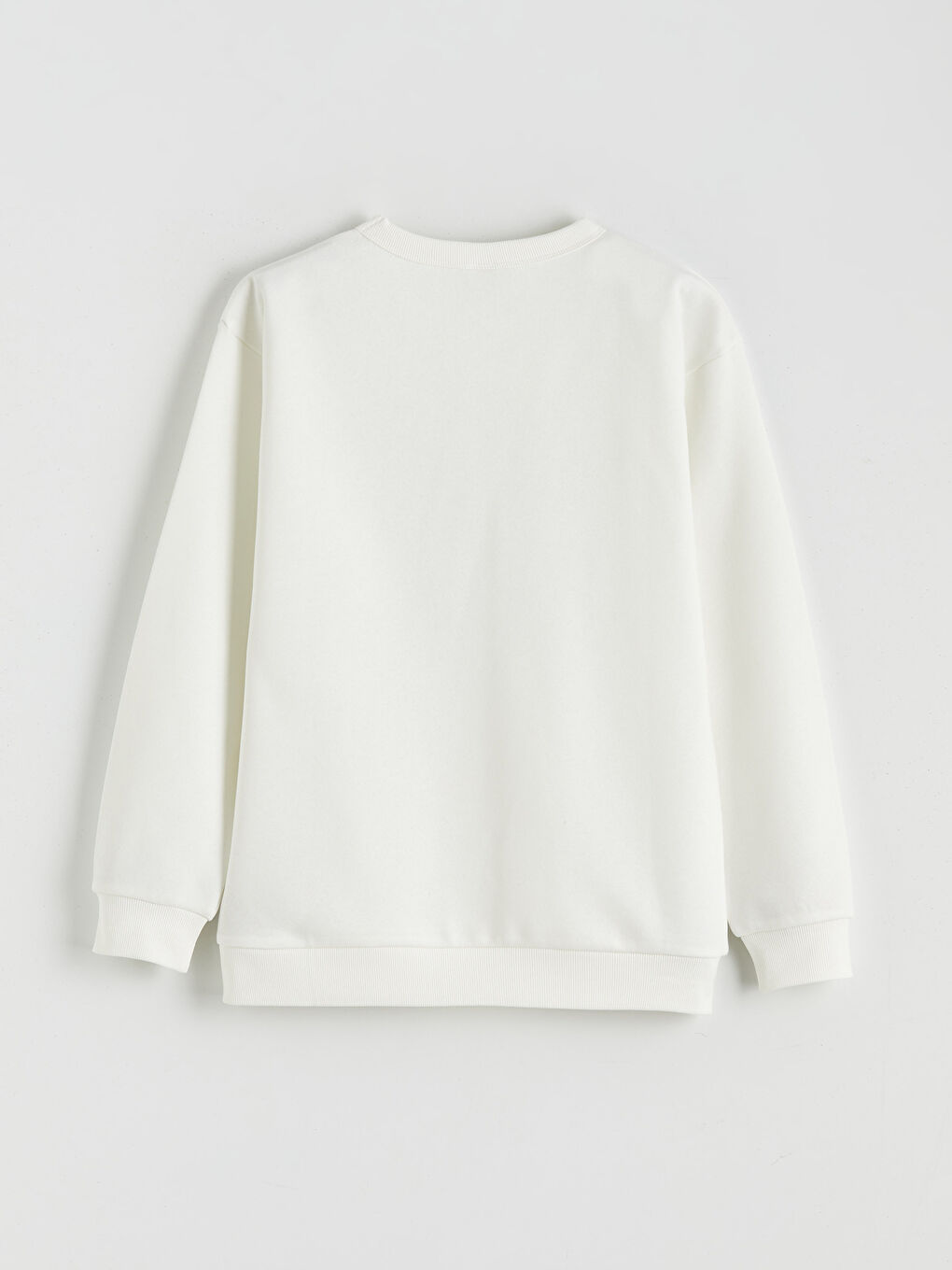 Printed Boys' Thick Sweatshirt-1