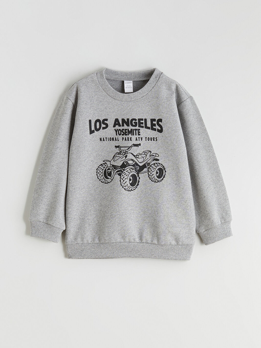 Gri Baskılı Erkek Çocuk Sweatshirt ve Eşofman Altı-3