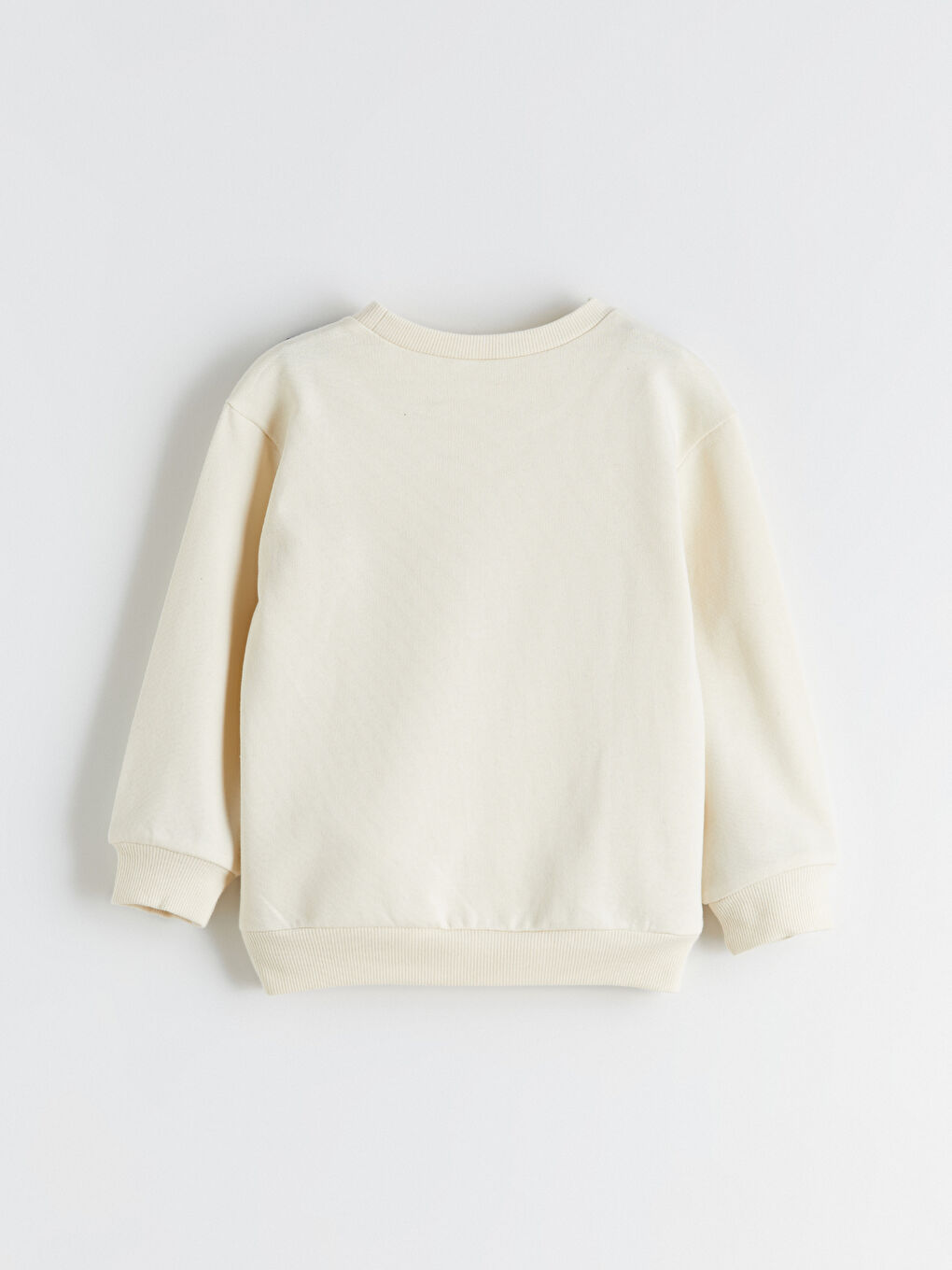 Crew Neck Printed Girls Sweatshirt 2 Pack-6