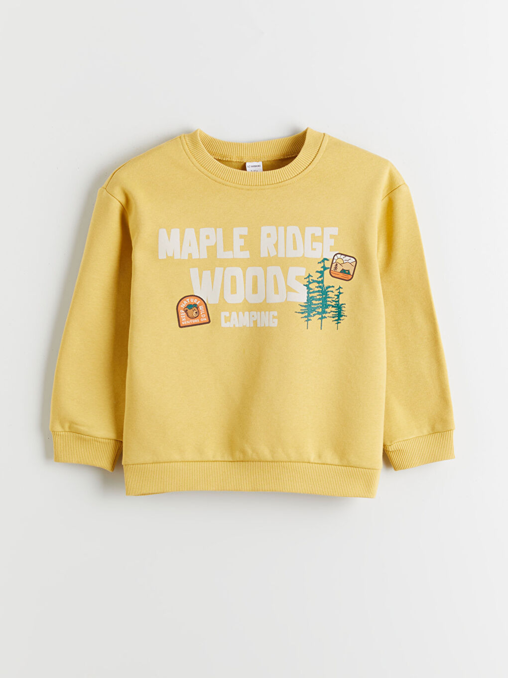 Printed Boys' Thick Sweatshirt