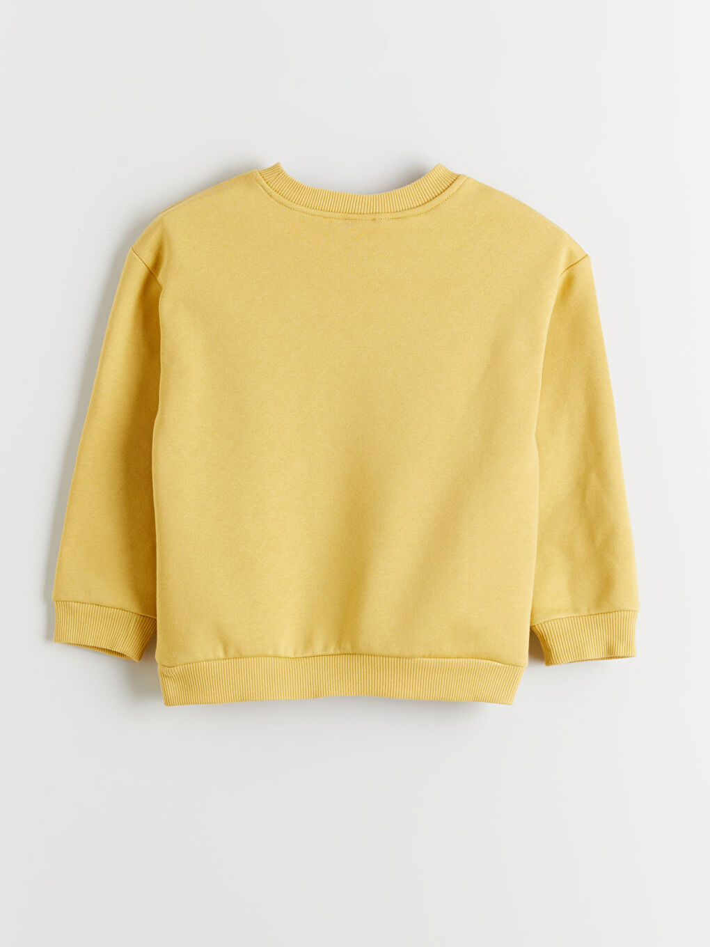 Printed Boys' Thick Sweatshirt-1