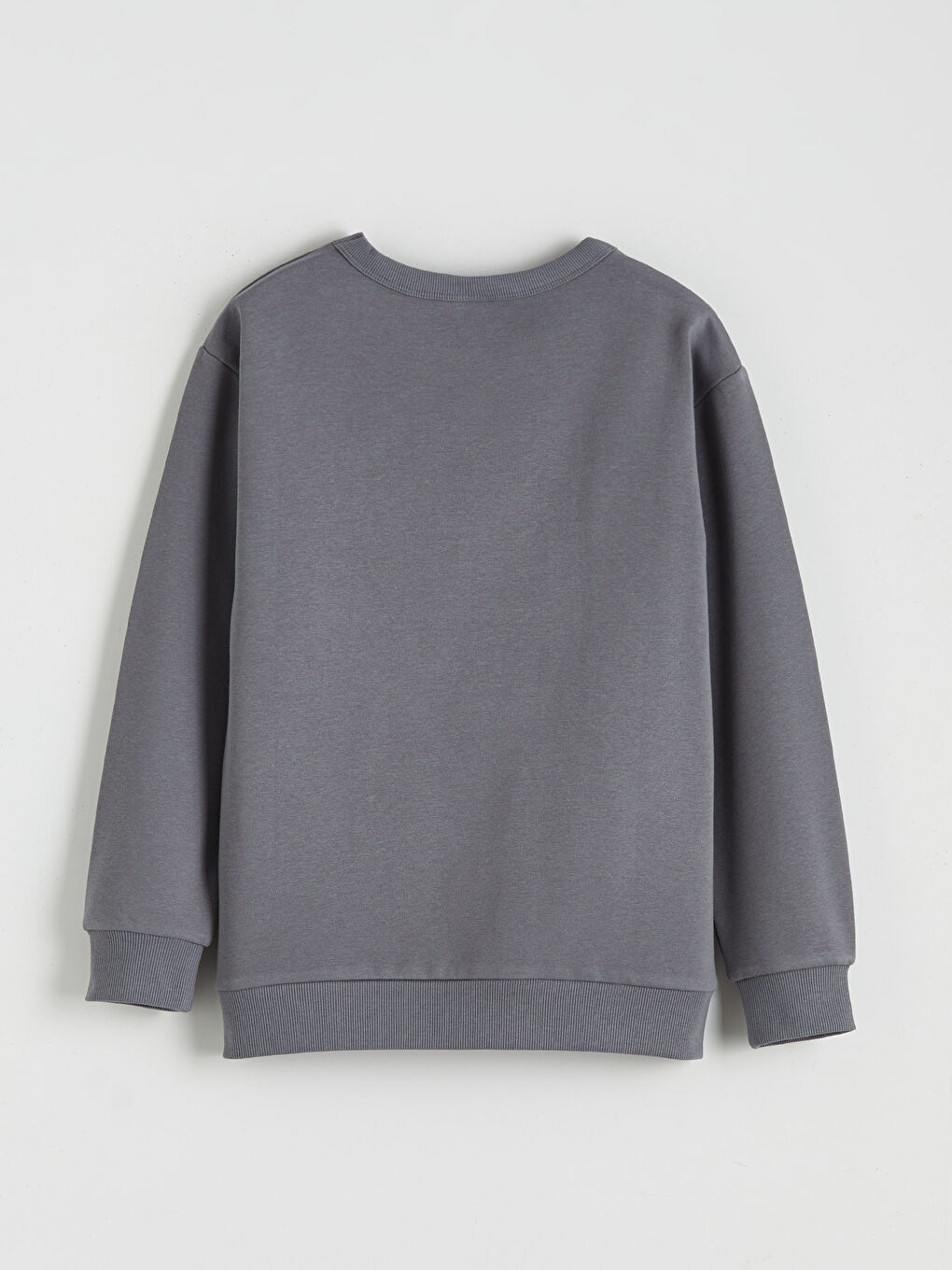 Printed Boys' Thick Sweatshirt-1