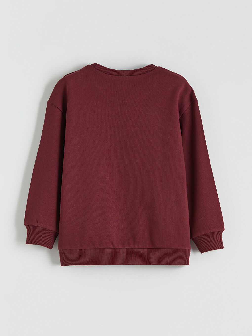 Crew Neck Printed Boys' Sweatshirt-3