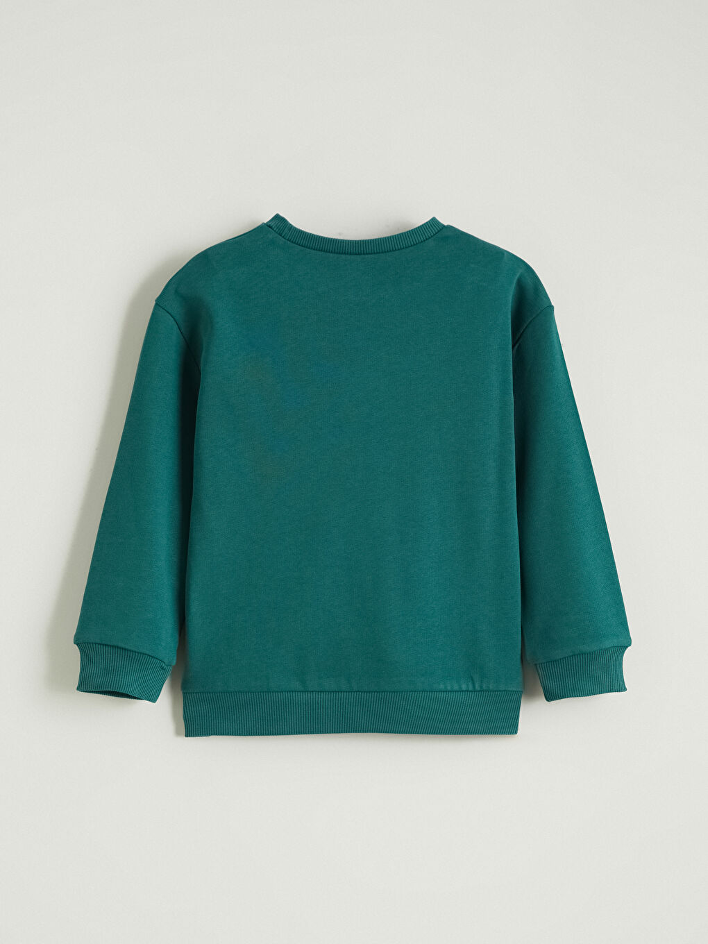 Crew Neck Boys' Thick Sweatshirt-3