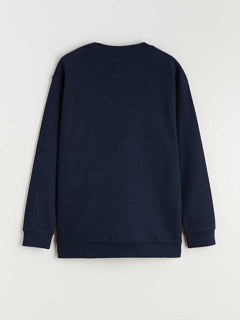 Crew Neck Printed Boys' Sweatshirt-1