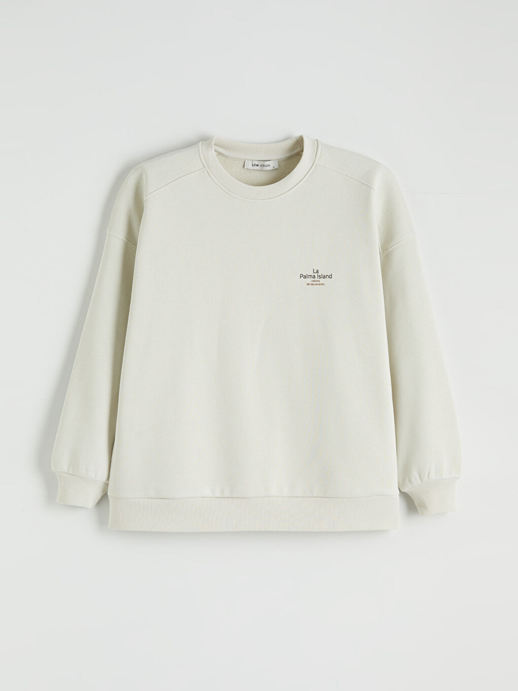 Gri Baskılı Oversize Kadın Kalın Sweatshirt-4