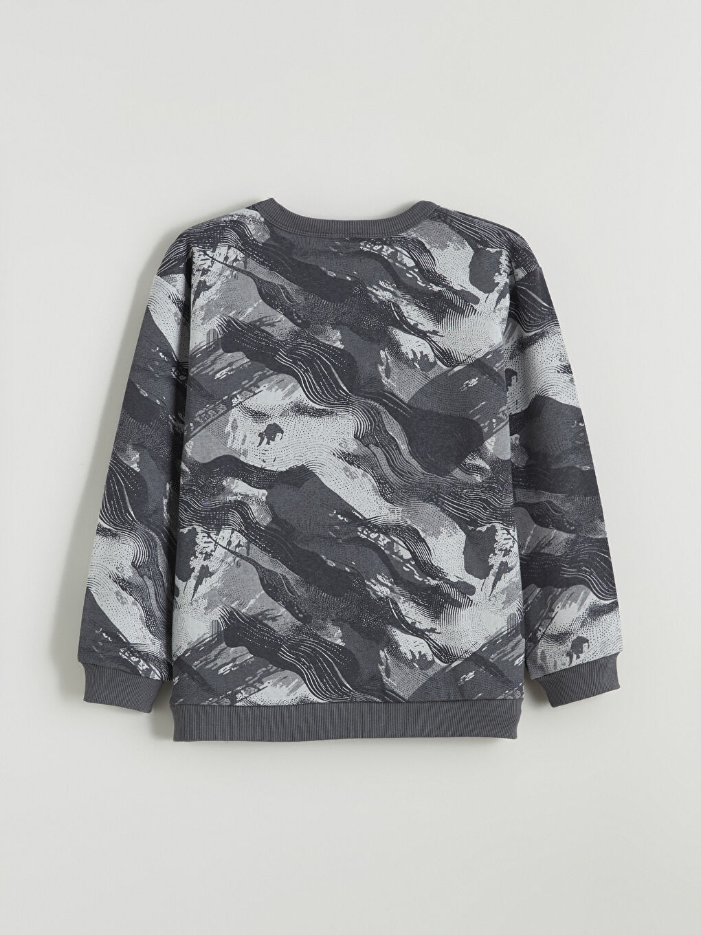 Printed Boys' Thick Sweatshirt-2