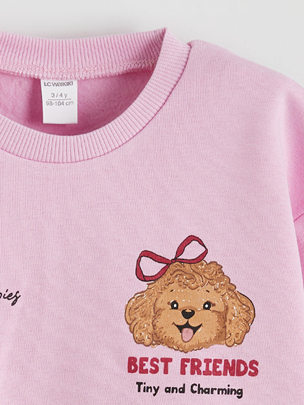 Crew Neck Girl's Thick Sweatshirt, Pack of 2-6