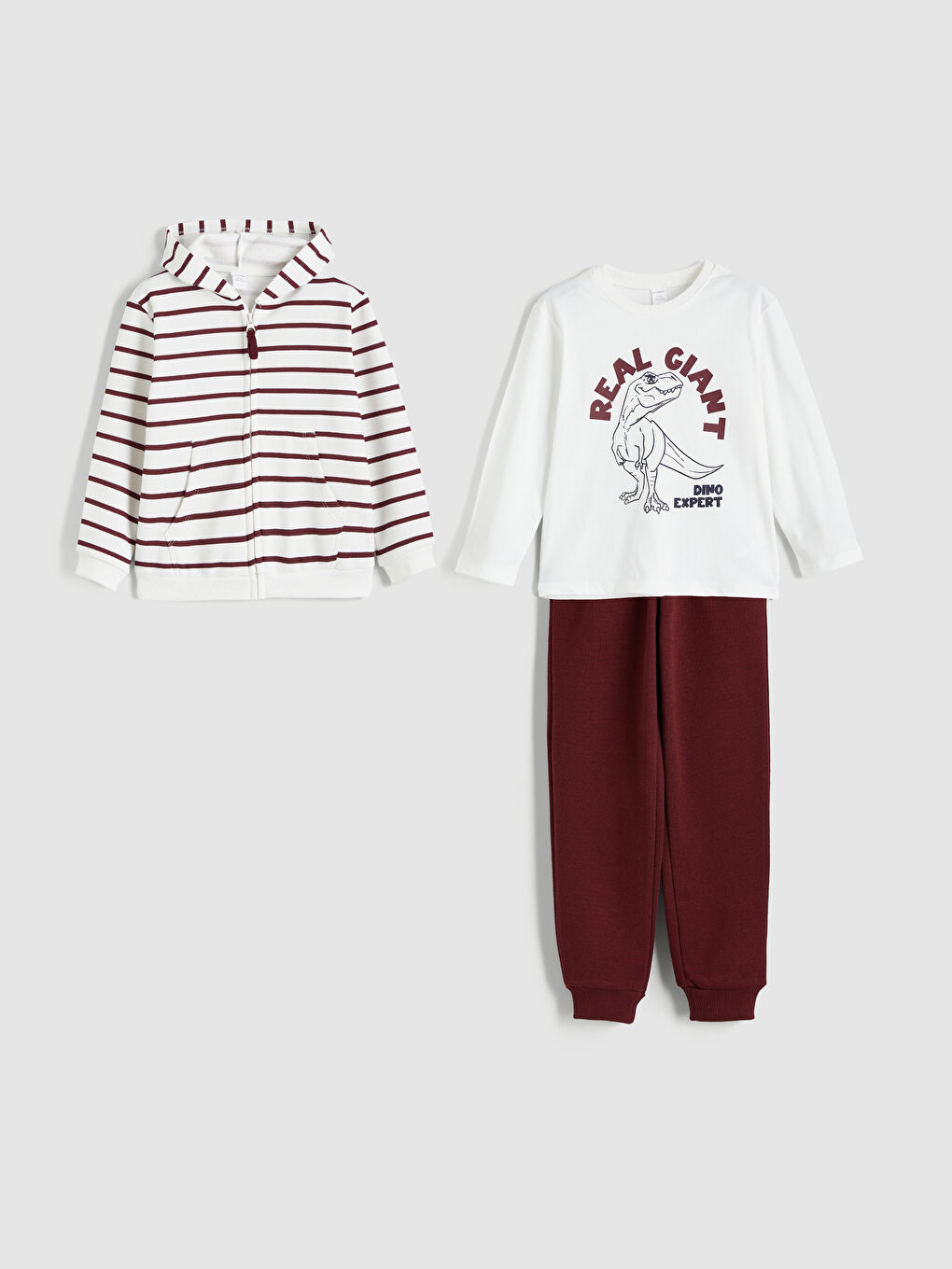 Ekru Dinozor Baskılı Erkek Çocuk Takım-2