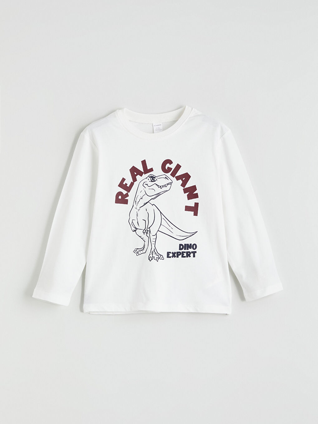 Ekru Dinozor Baskılı Erkek Çocuk Takım-8