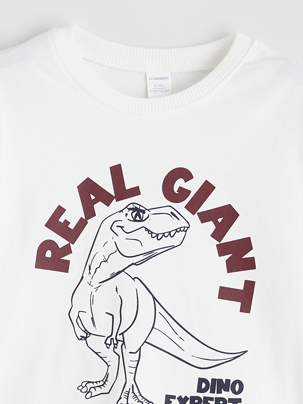 Ekru Dinozor Baskılı Erkek Çocuk Takım-9