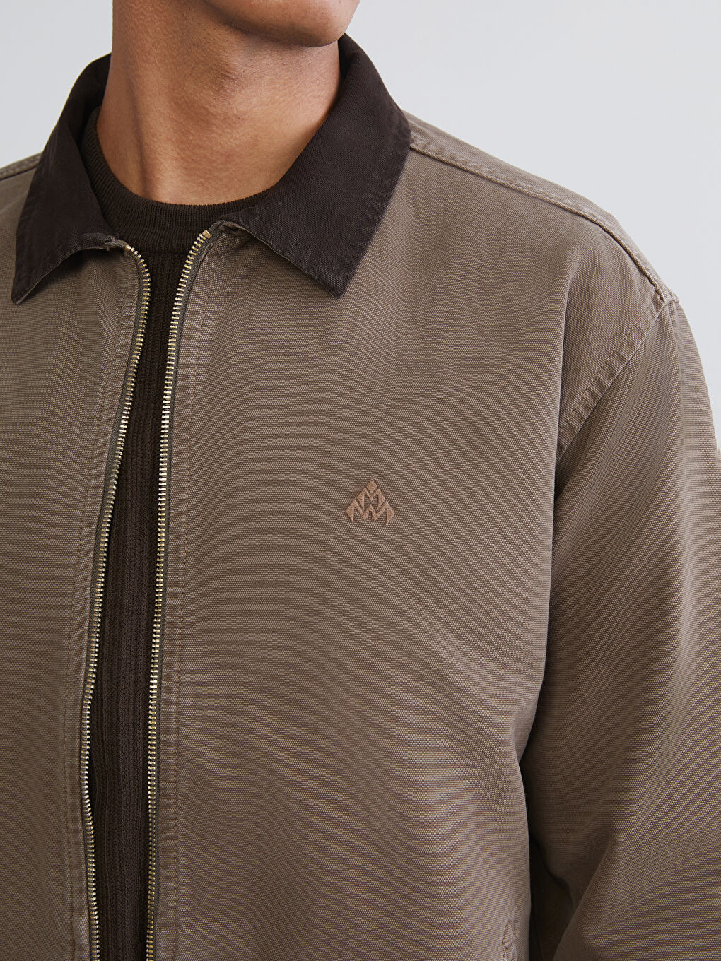 Bej Rahat Kalıp Gömlek Yaka Kanvas Erkek Ceket-2