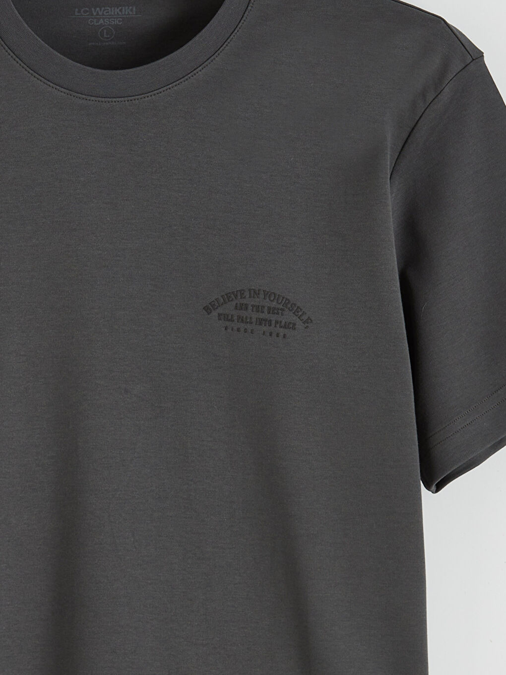 Antrasit Bisiklet Yaka Baskılı Erkek Tişört-5