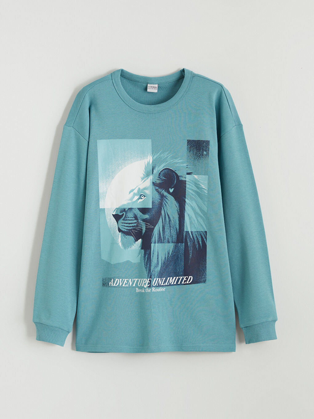 Yeşil Bisiklet Yaka Baskılı Erkek Çocuk Sweatshirt-2