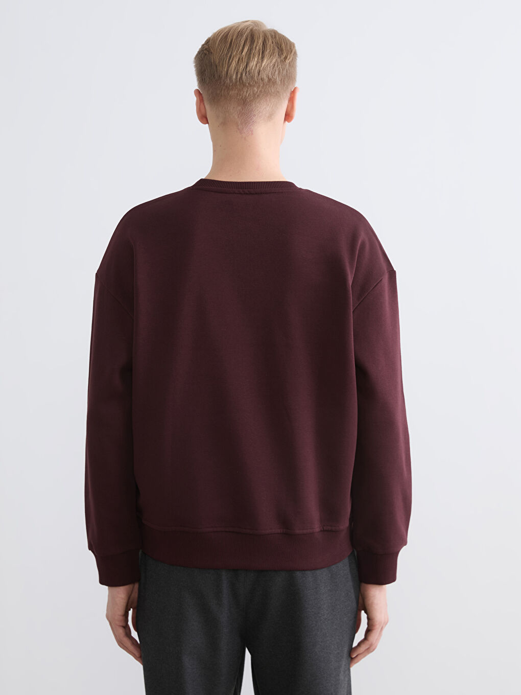 Crew Neck Men's Thick Sweatshirt-2