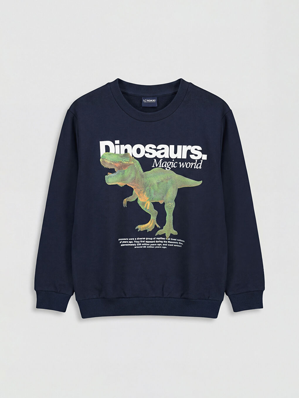 Dinosaur Print Boys' Sweatshirt