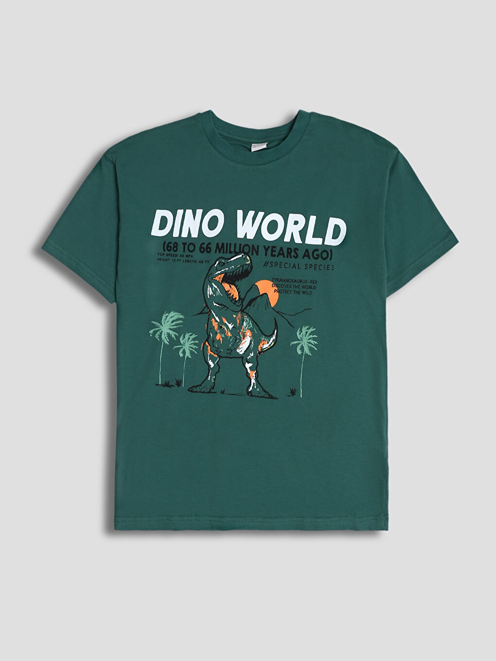 Dinosaur Printed Boys' T-Shirt