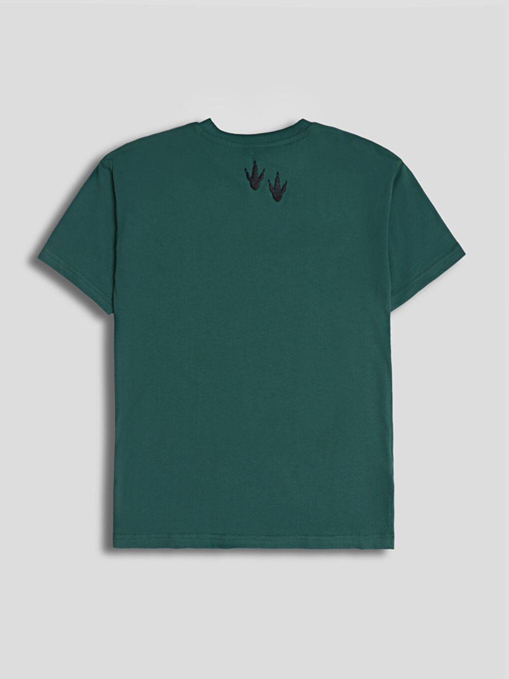 Dinosaur Printed Boys' T-Shirt-1