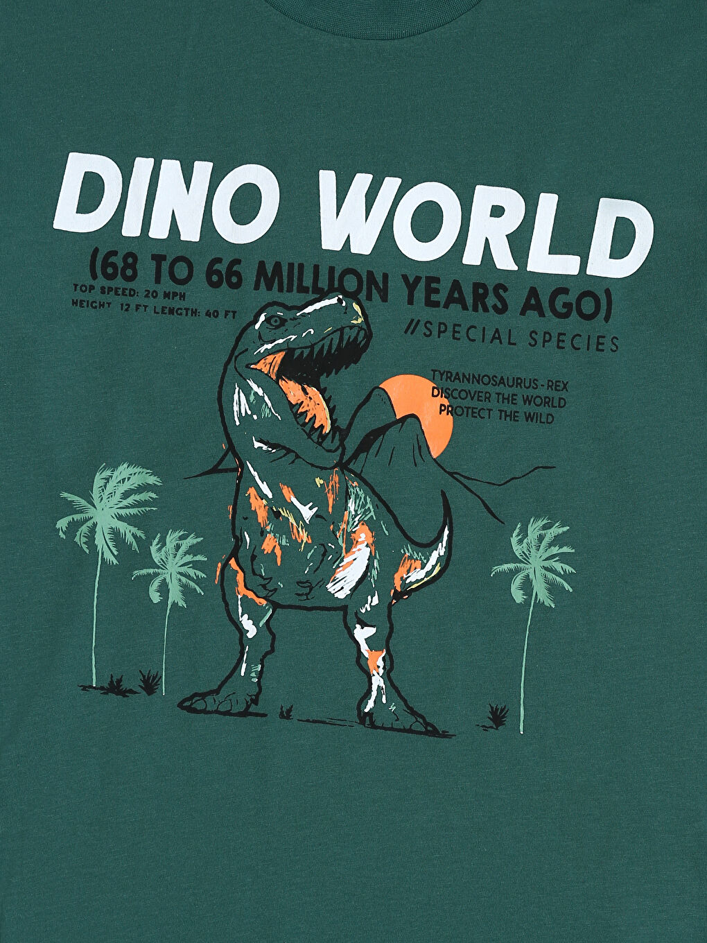 Dinosaur Printed Boys' T-Shirt-2
