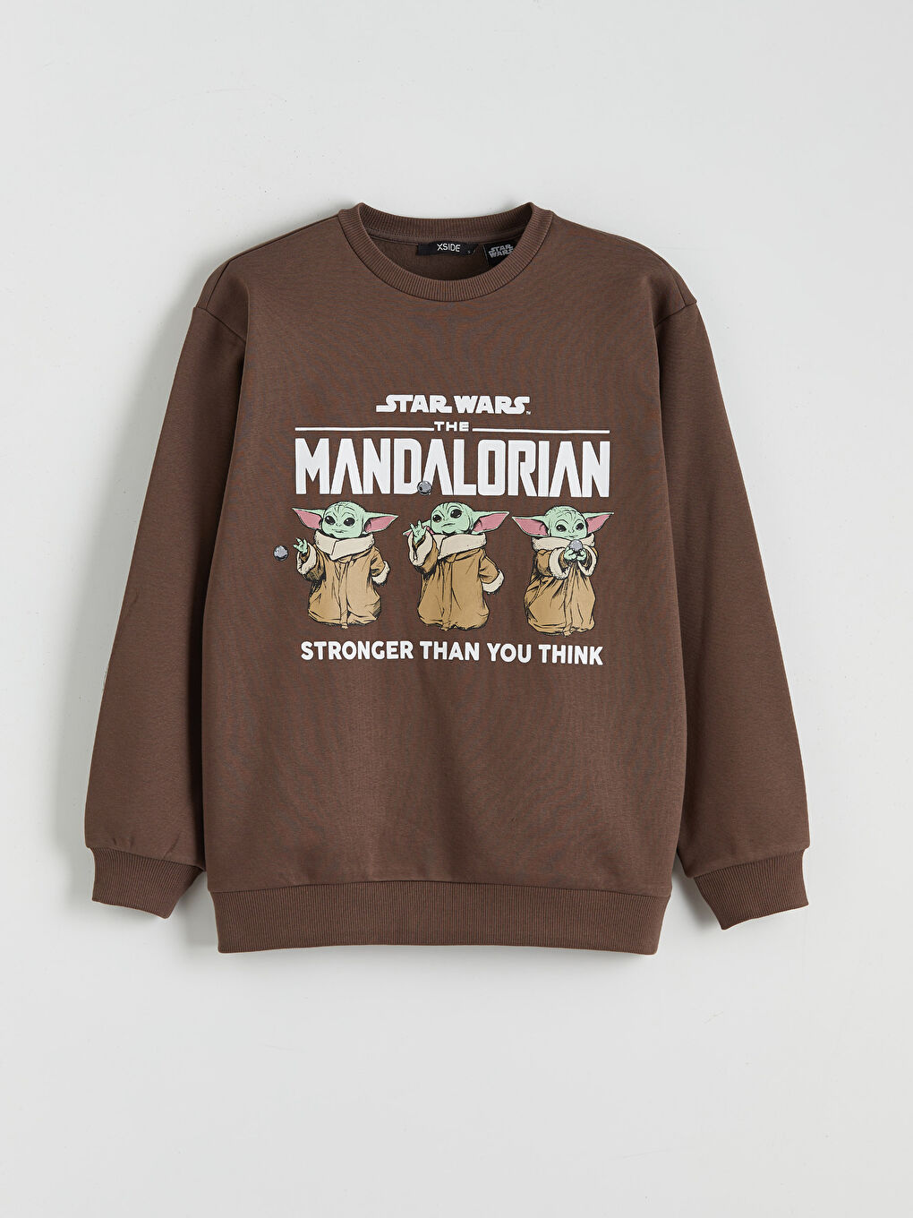 Woman BROWN Sweatshirt