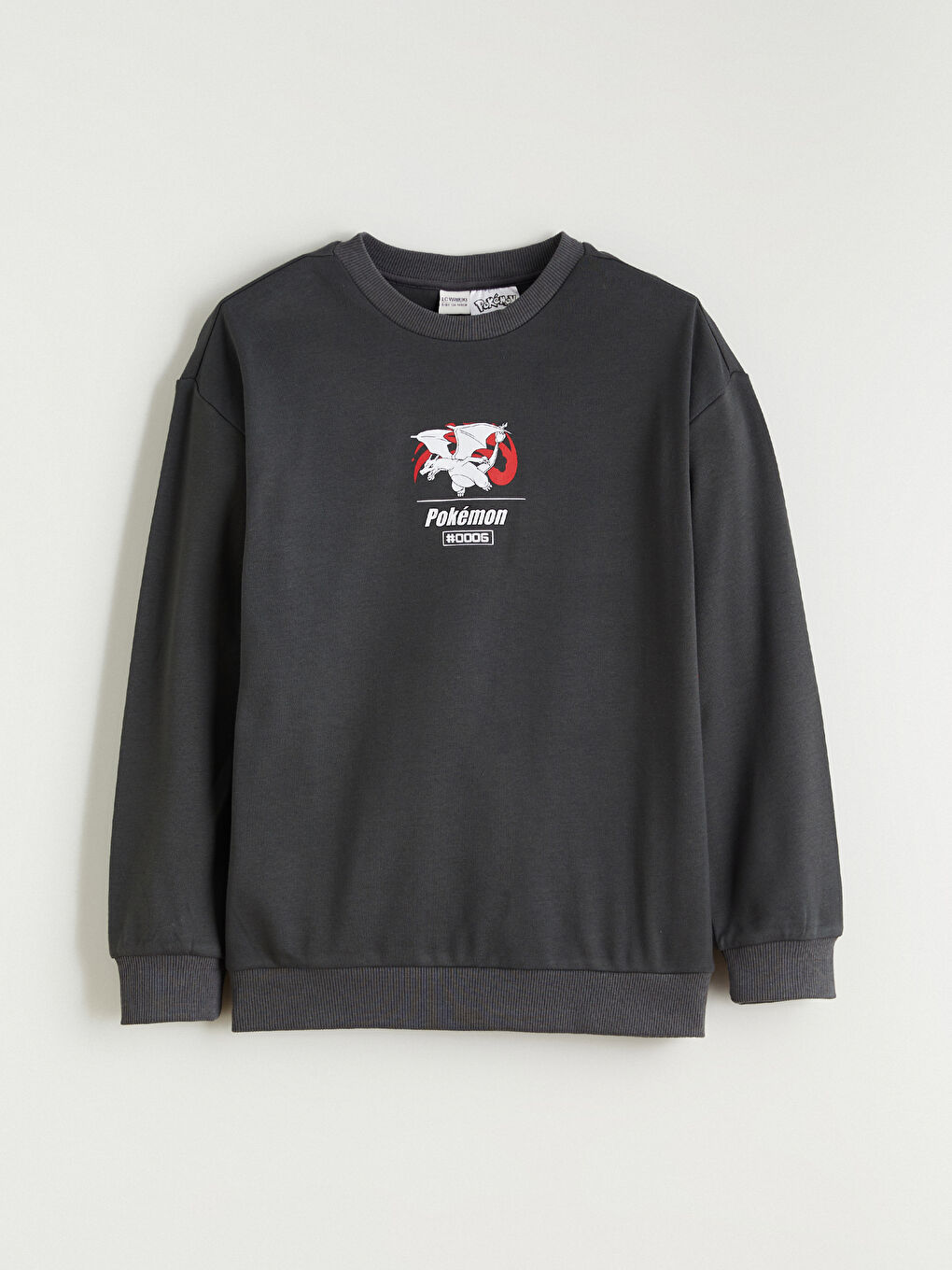 Crew Neck Pokemon Printed Boys' Sweatshirt-1